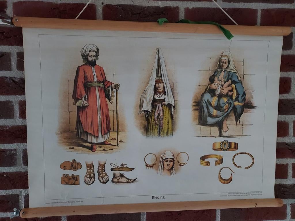 5. Bijbelse schoolplaten € 17,50, Ophalen of Verzenden, Natuur en Biologie