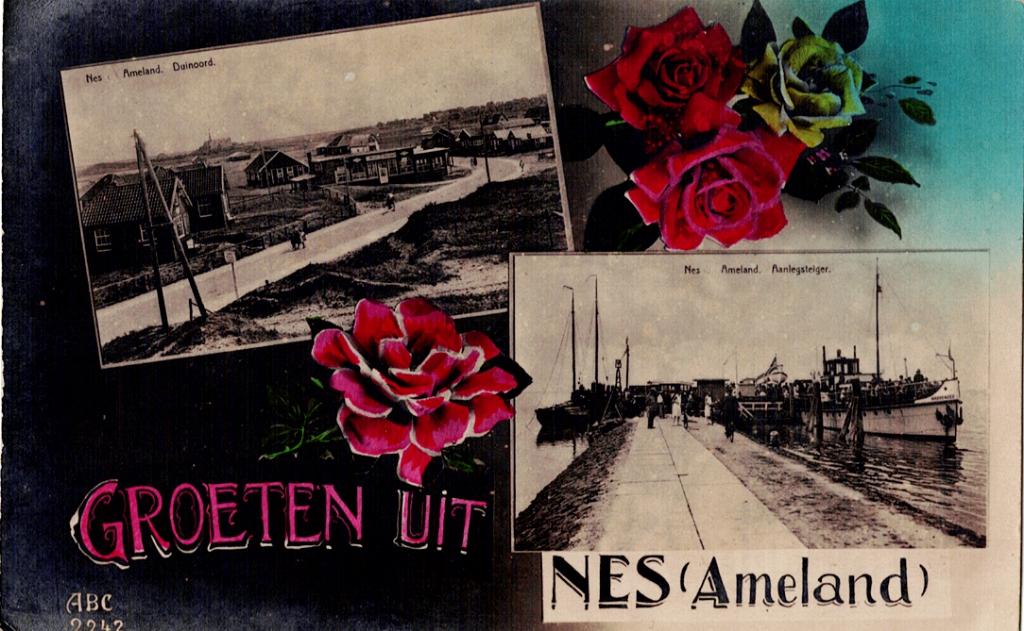 Ameland, dorp Nes  Duinoord en Aanlegsteiger, Verzenden, 1920 tot 1940, Gelopen, Waddeneilanden