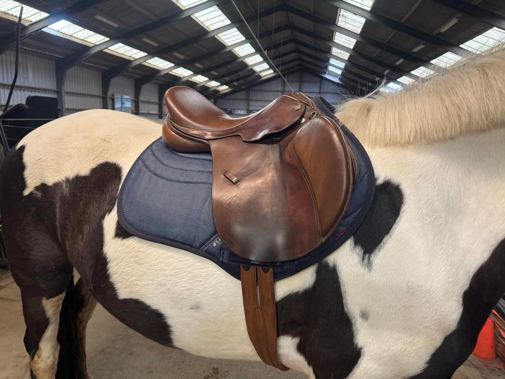 Rossner springzadel bruin 17,5 inc + singel, Dieren en Toebehoren, Paarden en Pony's | Zadels, Gebruikt, Springen, Ophalen of Verzenden