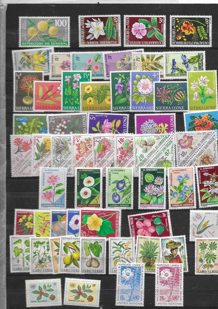 bloemen, Postzegels en Munten, Verzenden, Dier of Natuur