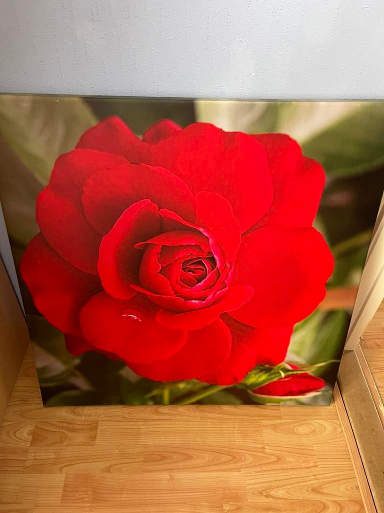 Schilderij, Huis en Inrichting, Woonaccessoires | Schilderijen, Tekeningen en Foto's, Ophalen, Zo goed als nieuw, Schilderij, 75 tot 100 cm