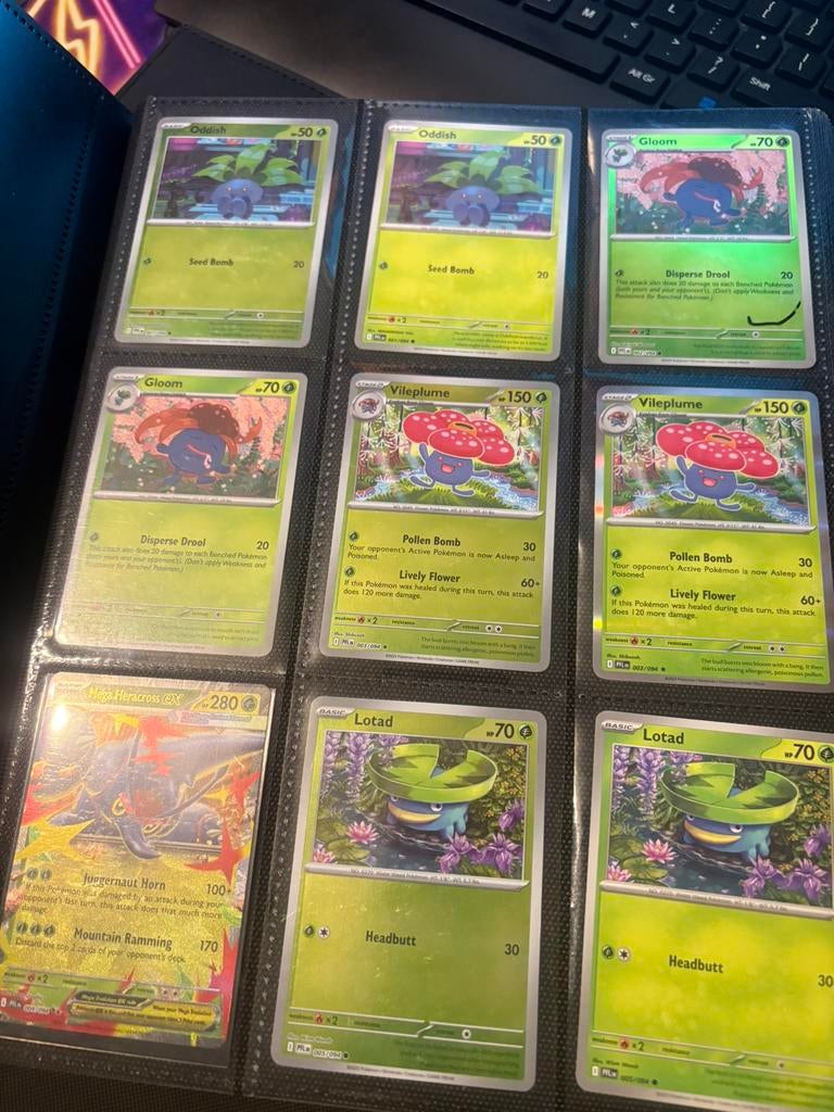 Phantasmal flames master base set, Hobby en Vrije tijd, Verzamelkaartspellen | Pokémon, Ophalen of Verzenden, Zo goed als nieuw