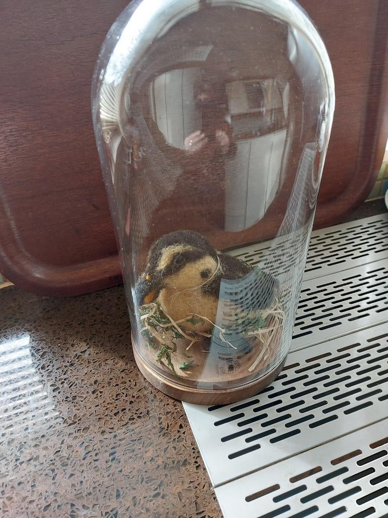 Kuiken naaldvilt, Diversen, Ophalen of Verzenden