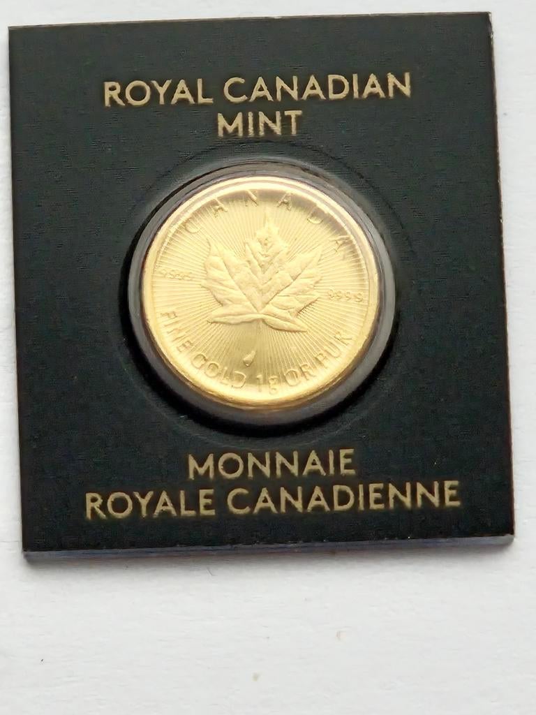 Canadees blad 2023, Ophalen of Verzenden, Zilver