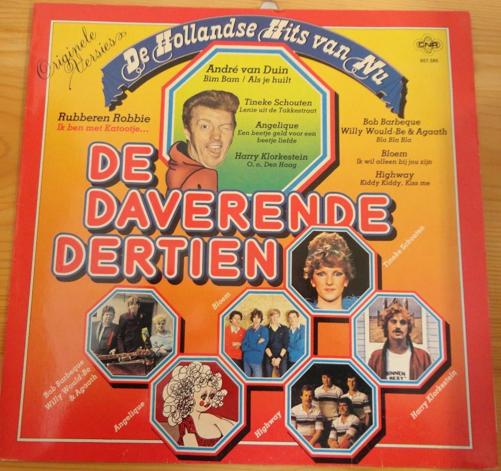 De Daverende Dertien (LP), Cd's en Dvd's, Vinyl | Nederlandstalig, Ophalen of Verzenden, Gebruikt, 12 inch, Levenslied of Smartlap