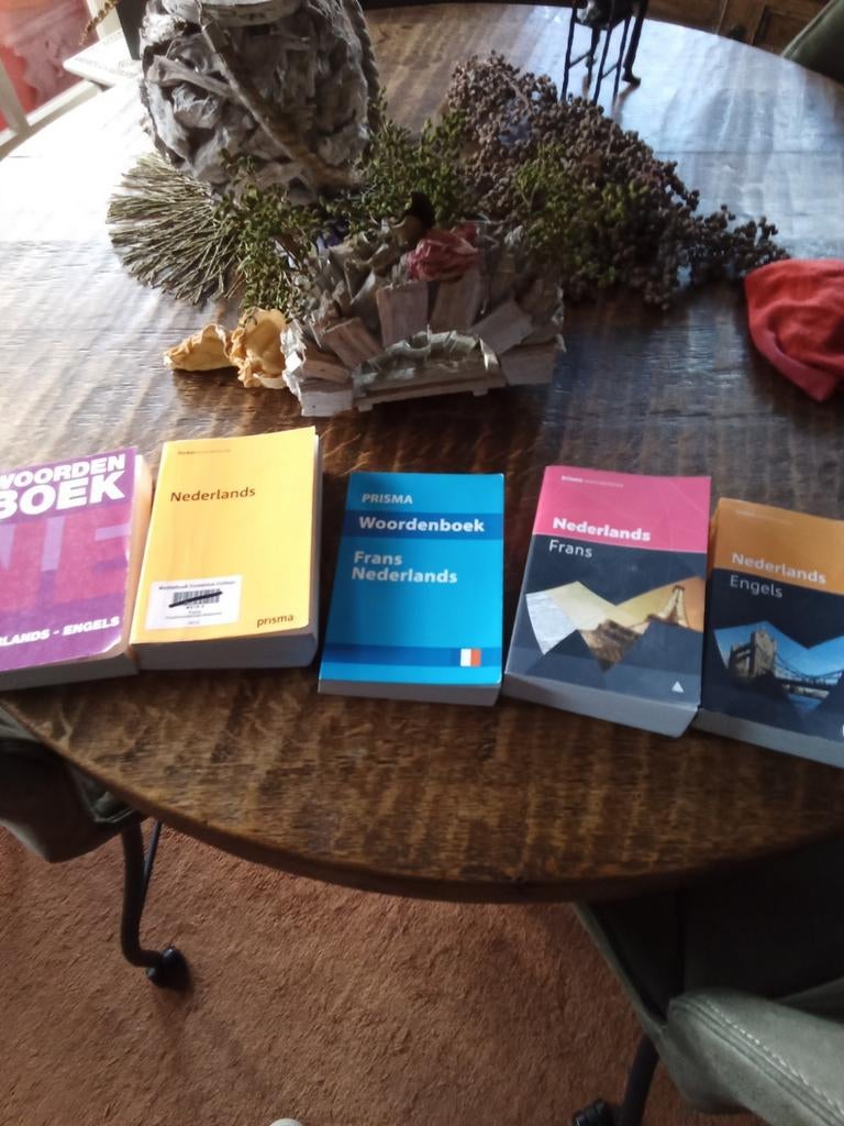 Stewardess worden ??, Ophalen of Verzenden, Beta, Zo goed als nieuw, HBO