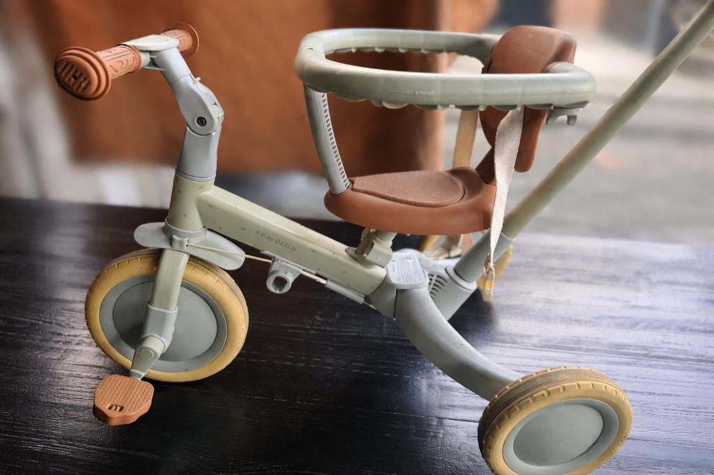 Peuterfietsje Little Dutch 4=1 driewieler, Ophalen, Zijwieltjes, Little dutch, Minder dan 16 inch