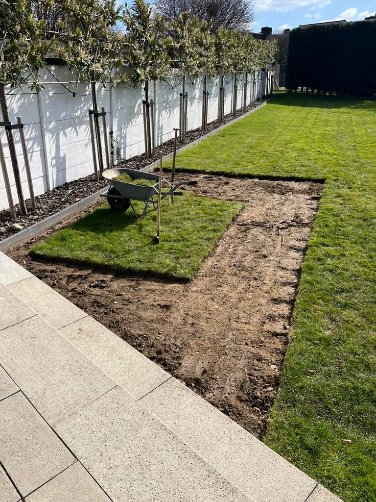 Graszoden / gazongras, Tuin en Terras, Gras en Kunstgras, Ophalen, Gebruikt, 10 tot 20 m², Gras