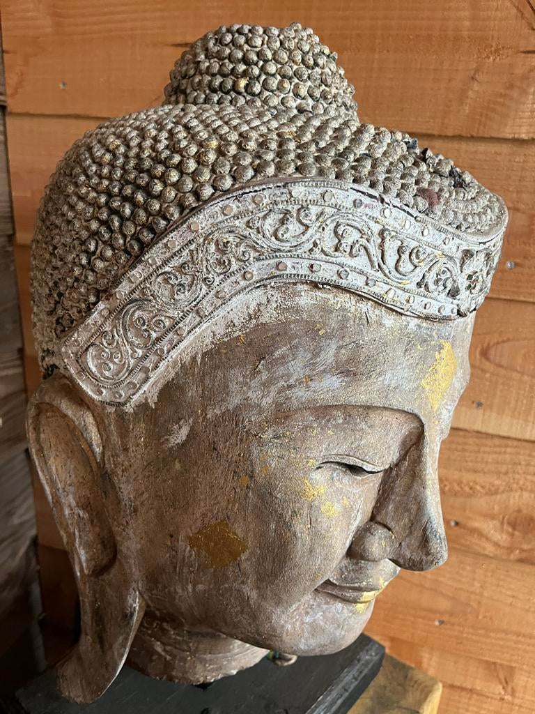 Groot Boeddha hoofd - Decoratief en zwaar, Ophalen, Buste, 50 - 100 cm, Handgemaakt