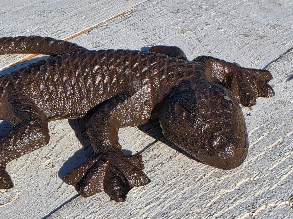 GEKKO / gietijzer, Dierenbeeld, Nieuw, Metaal, Info@huisentuindecoratiemarie.nl