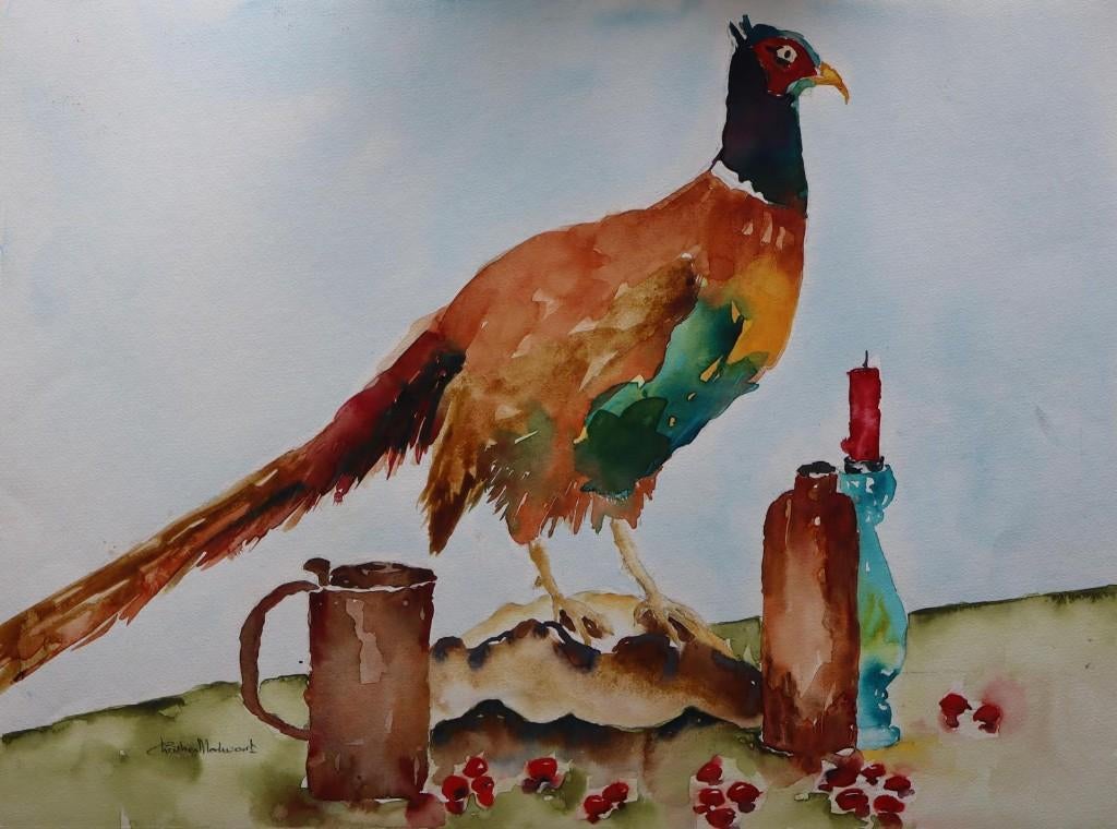 Aquarel fazant, Ophalen