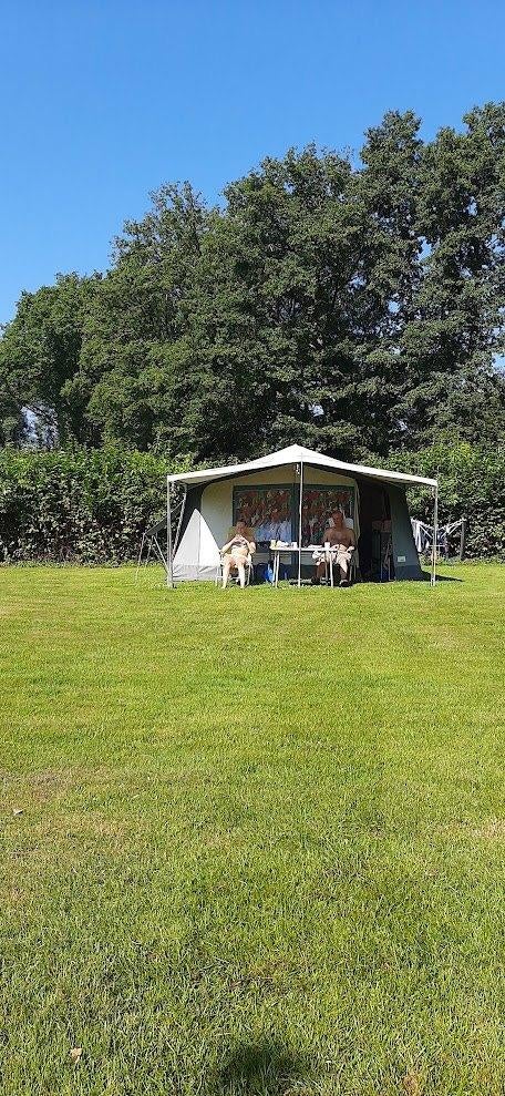 Scout Routier vouwwagen te koop, Caravans en Kamperen, Vouwwagens, Aanwezig, Meer dan 6, Grijs, Ophalen