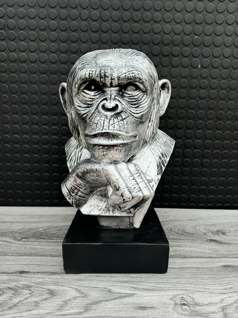 aap buste 40hoog 25breed/Nieuw!, Ophalen of Verzenden, Nieuw, Dier