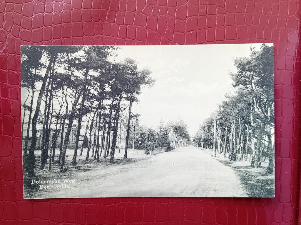 Ansichtkaart Den Dolder, Ophalen of Verzenden, Voor 1920, Zuid-Holland