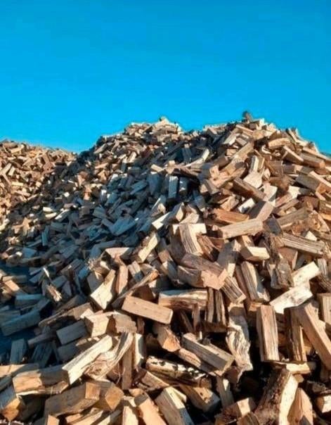 GEDROOGD Haardhout gelijk stookbaar, Tuin en Terras, Haardhout, Minder dan 3 m³, Ophalen of Verzenden, Blokken