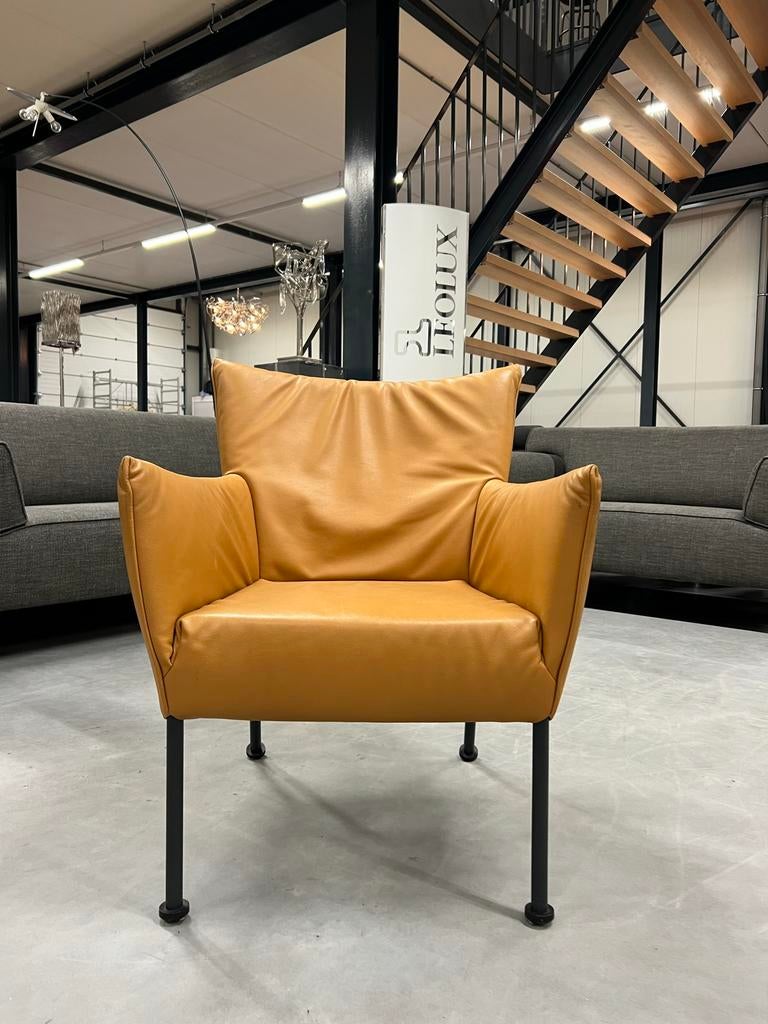 Showmodel Label Vandenberg Togo Fauteuil Leer Design stoel, Zo goed als nieuw, Label van den Berg, 50 tot 75 cm, Leer