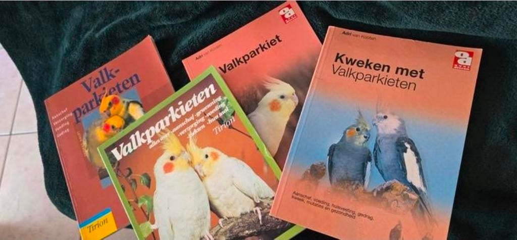 Valkparkieten, Ophalen of Verzenden, Zo goed als nieuw, Honden