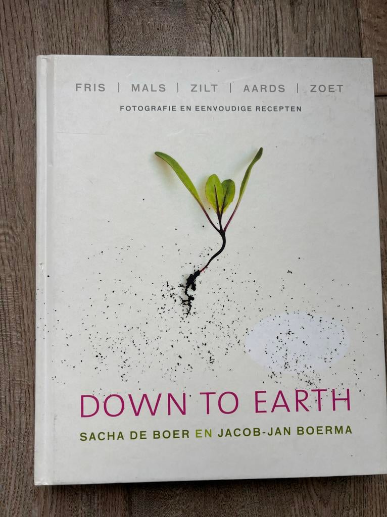 Down to Earth - Sacha de Boer & Jacob-Jan Boerma, Ophalen of Verzenden, Zo goed als nieuw