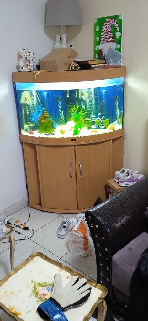 Aquarium, Ophalen of Verzenden, Zo goed als nieuw, Leeg aquarium