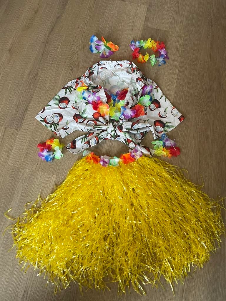 Carnavals kleding, Carnaval, Maat 46/48 (XL) of groter, Ophalen of Verzenden, Zo goed als nieuw