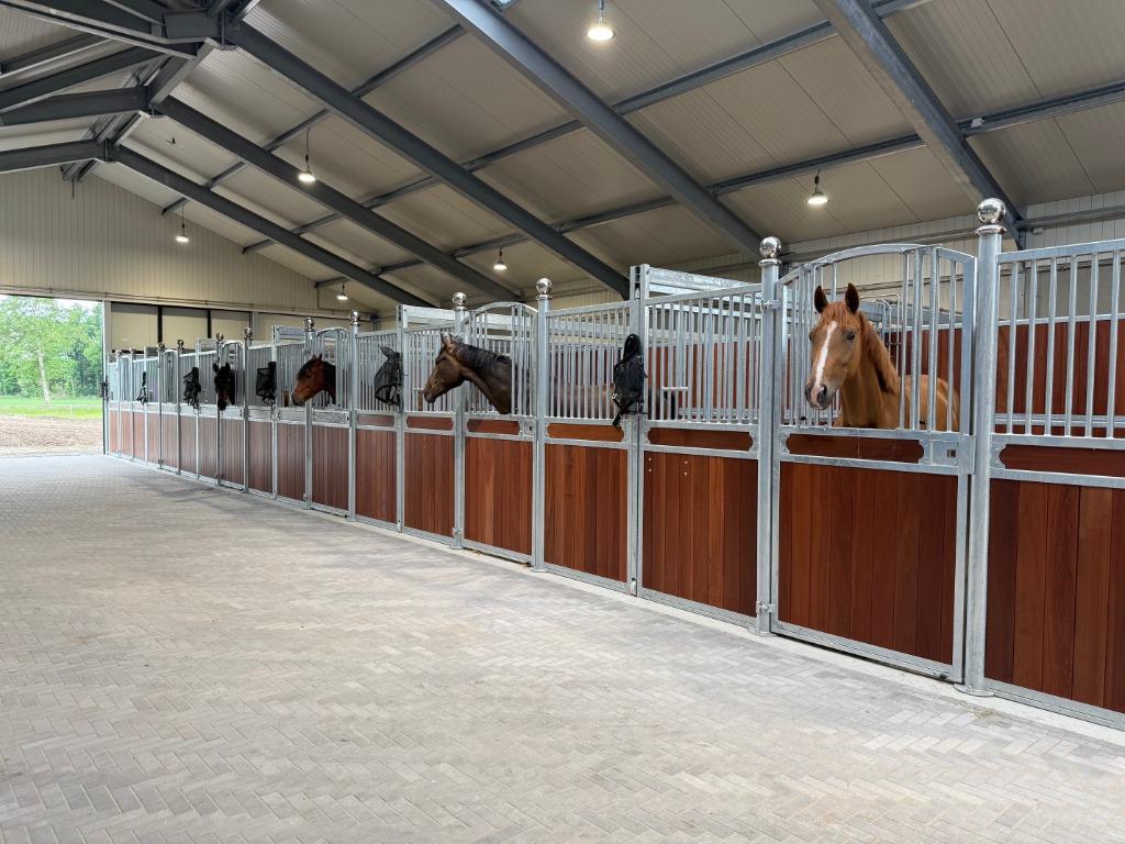 Stalhulp gezocht (Putten)