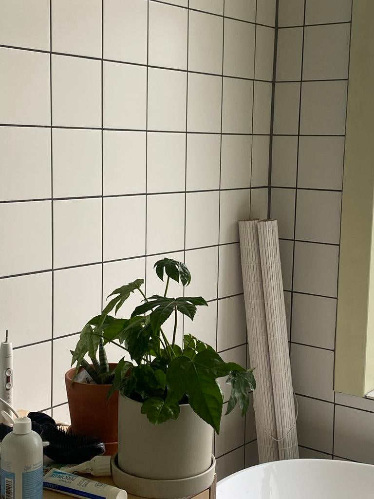 Mosa Bright White 15x15 Wandtegels mat, Ophalen, Nieuw, Minder dan 20 cm, Minder dan 5 m²