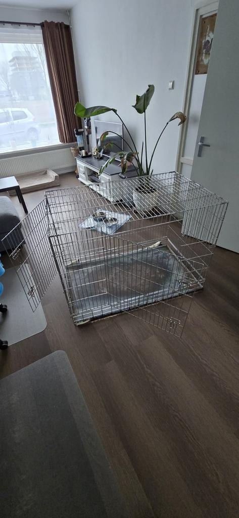 Hondenbench 120x75x87, Ophalen, Gebruikt