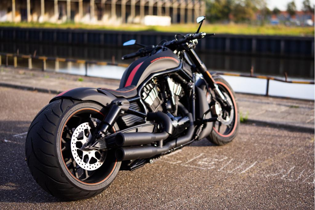 Harley Davidson Night Rod Special Arnassy 300 band, Motoren, Motoren | Harley-Davidson, Niet ingevuld, Niet ingevuld, Particulier