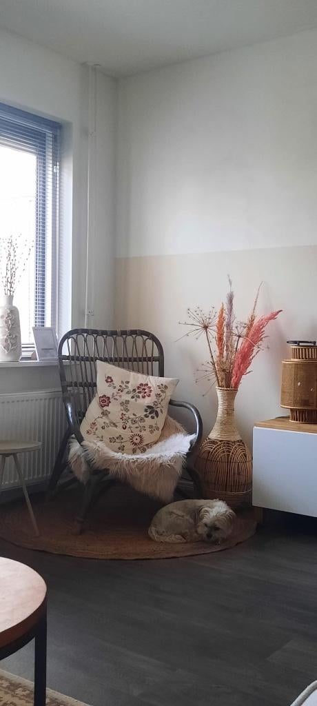 Rotan loungestoel, Ophalen, Gebruikt, Bruin, Riet of Rotan