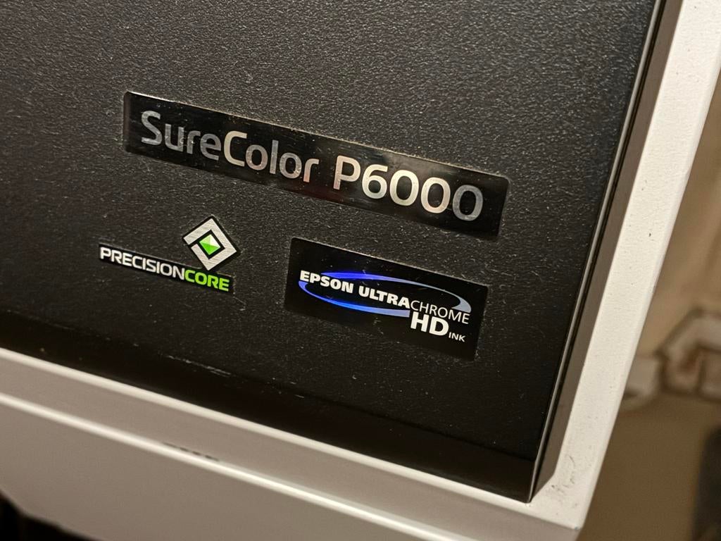 Epson SureColor P6000 Pro Printer - Groot Formaat, Computers en Software, Printers, Gebruikt, Fotoprinter, Inkjetprinter, Kleur printen