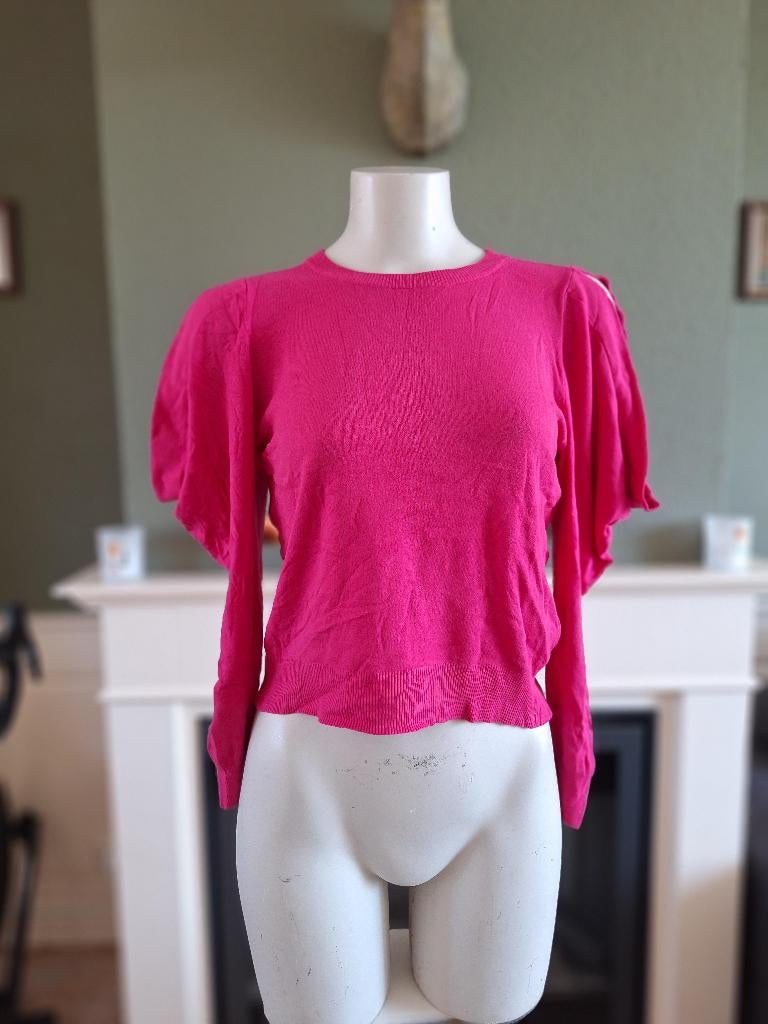 Sandro Ferrone hard roze trui met open schouders L, Verzenden, Zo goed als nieuw, Roze, Maat 42/44 (L)