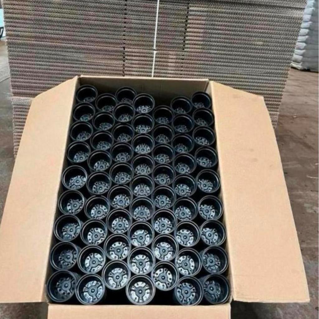 Kweekpotjes 4221 stuks 6cm, Tuin en Terras, Kweekspullen, Ophalen, B, Overige typen, Zo goed als nieuw