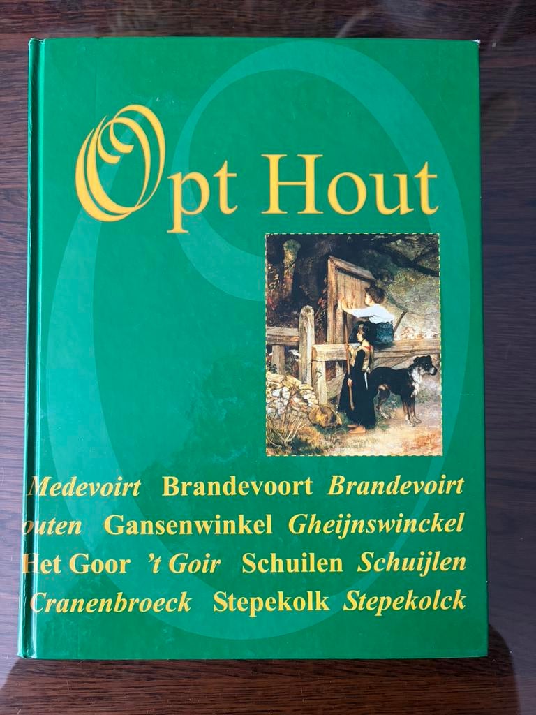 Boek: Opt Hout / Mierlo - Hout (Helmond), Boeken, Geschiedenis | Stad en Regio, Ophalen of Verzenden, Gelezen