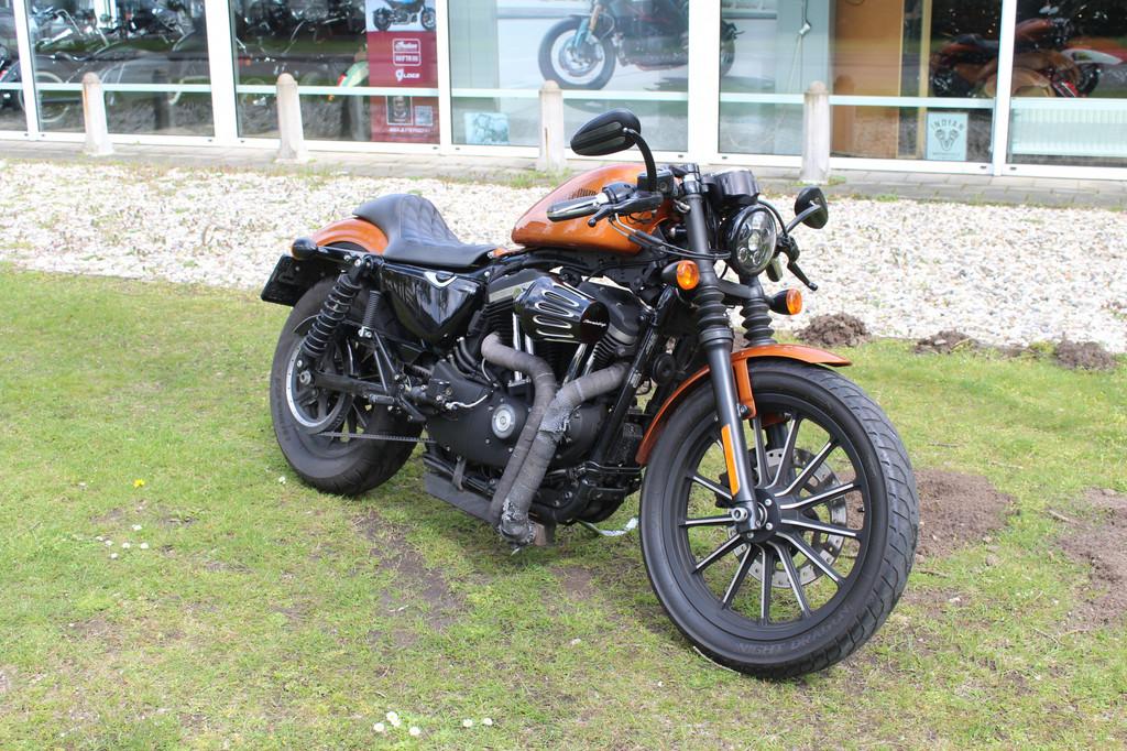 Harley-Davidson Sportster XL 883 xl883n sporster iron - foto 3