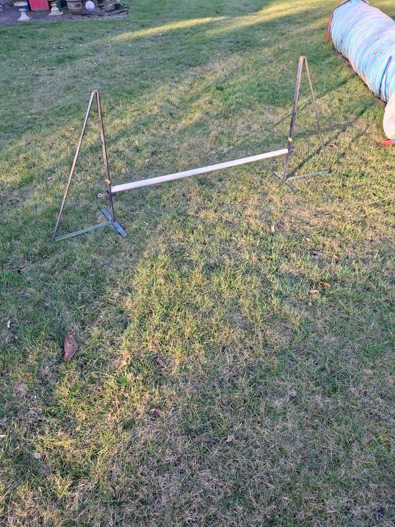 agility, Dieren en Toebehoren, Ophalen of Verzenden