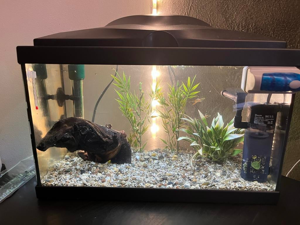 Aquarium te koop, Dieren en Toebehoren, Vissen | Aquaria en Toebehoren, Ophalen of Verzenden, Leeg aquarium