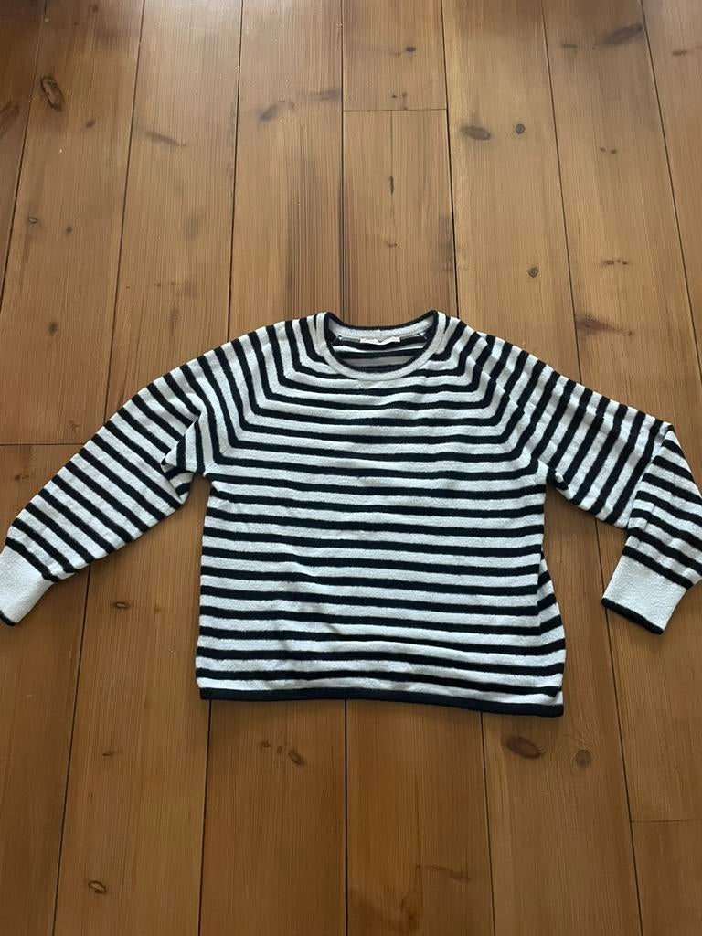 Leuke zwartwitte gestreepte trui Studio Anneloes,S/M,, Verzenden, Zo goed als nieuw, Maat 38/40 (M), Overige kleuren