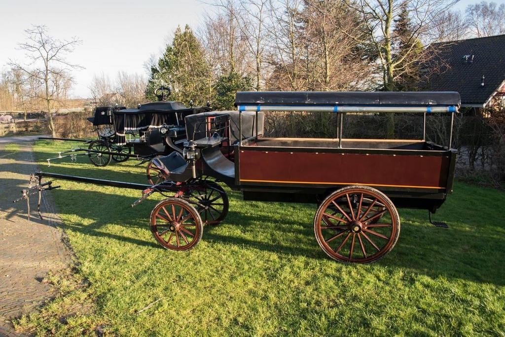 Koetsen, Dieren en Toebehoren, Ophalen, Dressuur