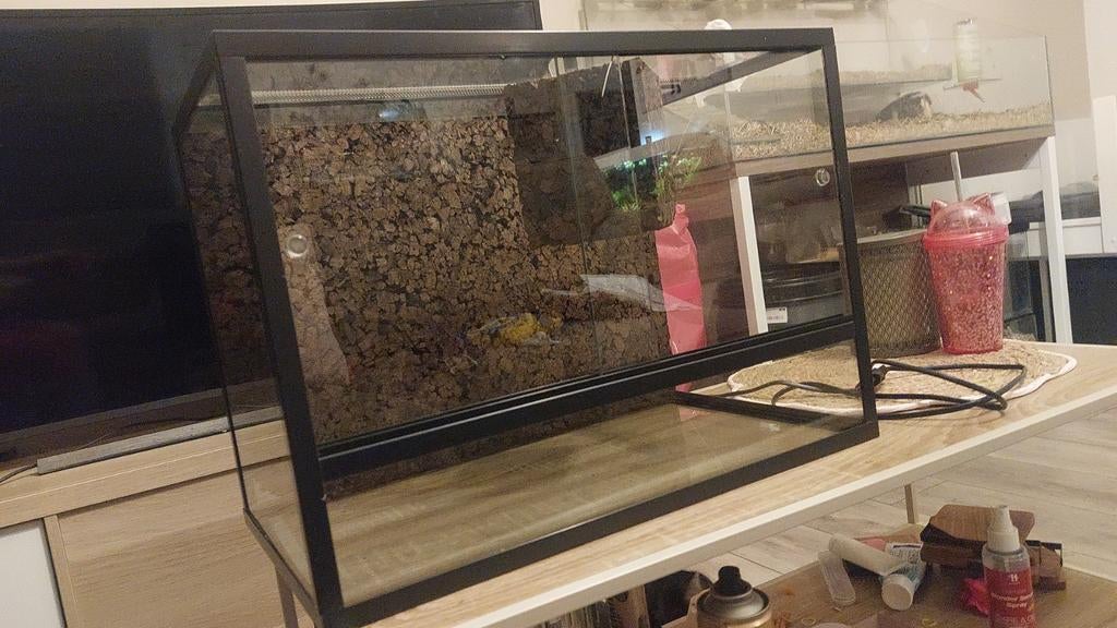Terarium met kruk en fitting, Dieren en Toebehoren, Reptielen en Amfibieën | Toebehoren, Ophalen, Zo goed als nieuw, Terrarium of Paludarium