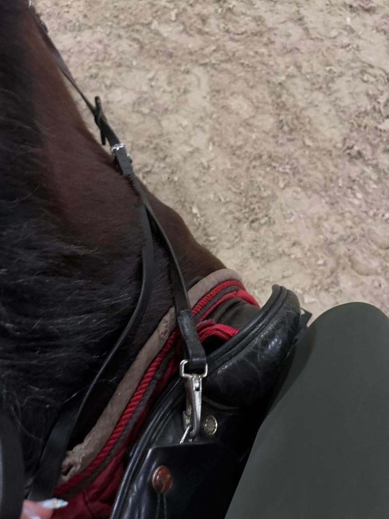 Verzorgster/bijrijder aangeboden verzorg pony gezocht!, Ophalen of Verzenden, Zo goed als nieuw