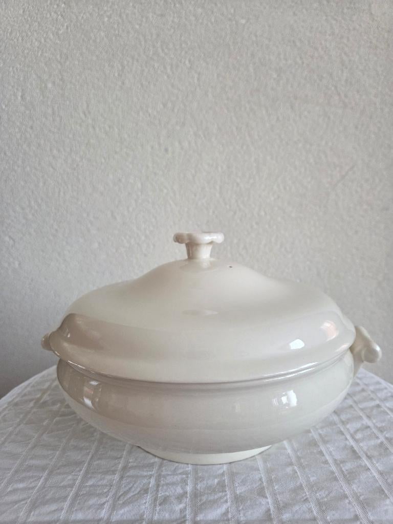 Wedgwood traditional plain, Verzenden, Overige typen, Nieuw, Wedgwood