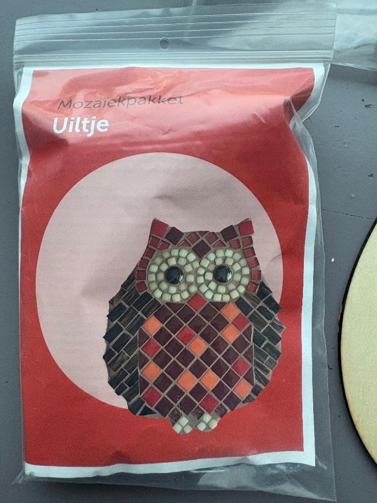 Mozaïek uil, Hobby en Vrije tijd, Ophalen of Verzenden, Nieuw, Knutselwerk