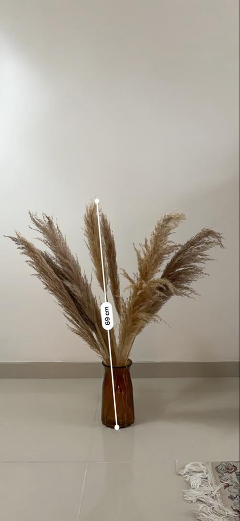 Decoratieve pluimen in vaas, Ophalen, Zo goed als nieuw