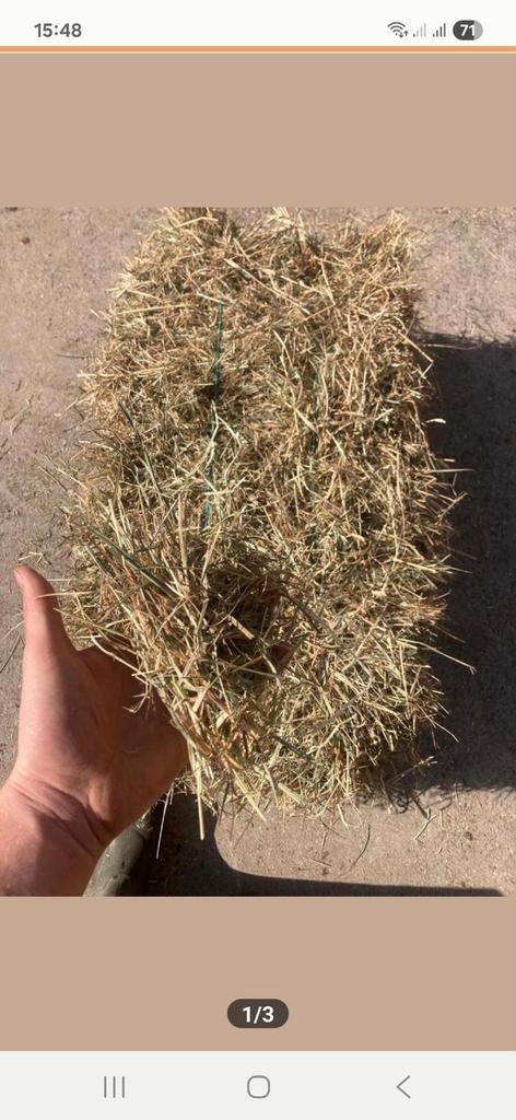 hooi, Dieren en Toebehoren, Dierenvoeding, Ophalen of Verzenden, Vee