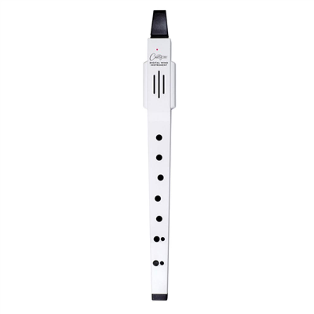 Carry-On Digital Wind Instrument digitaal blaasinstrument, ., Nieuw, Ophalen of Verzenden, .