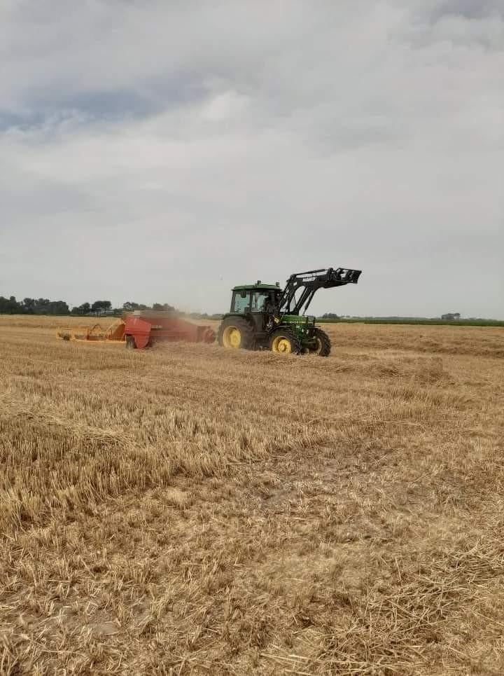 Kleine pakjes Tarwe stro