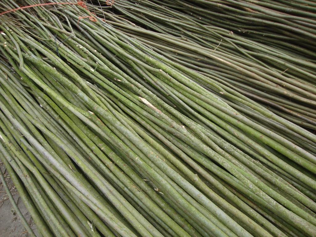 Wilgentenen., Ophalen, Nieuw