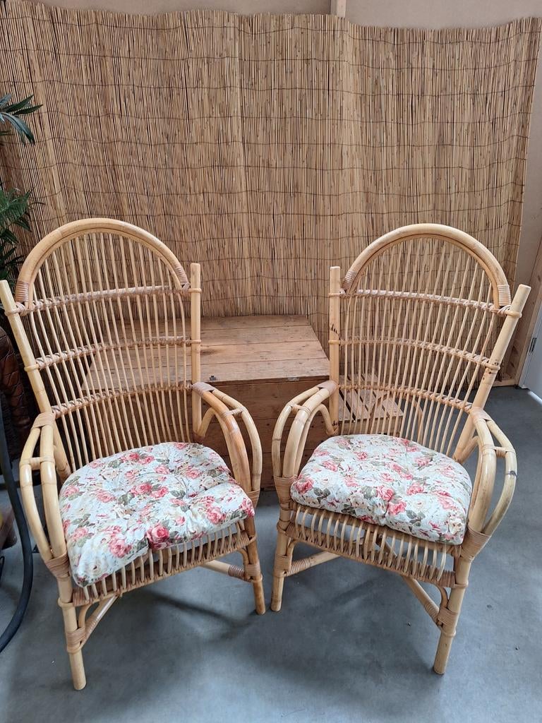 2 prachtige degelijke rotan stoelen, Ophalen, Zo goed als nieuw