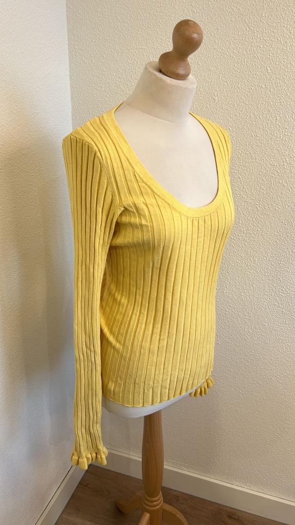 Fabienne Chapot maat L gele Ida pullover trui 935, Geel, Maat 42/44 (L), Ophalen of Verzenden, Zo goed als nieuw