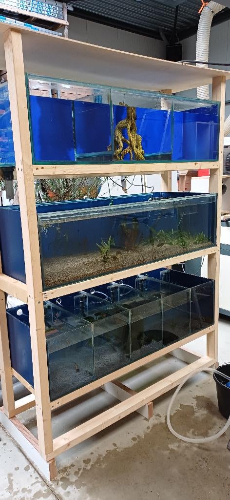 Aquarium stelling, Dieren en Toebehoren, Vissen | Aquaria en Toebehoren, Ophalen, Gebruikt, Leeg aquarium